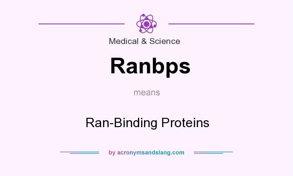What does Ranbps mean? It stands for Ran-Binding Proteins