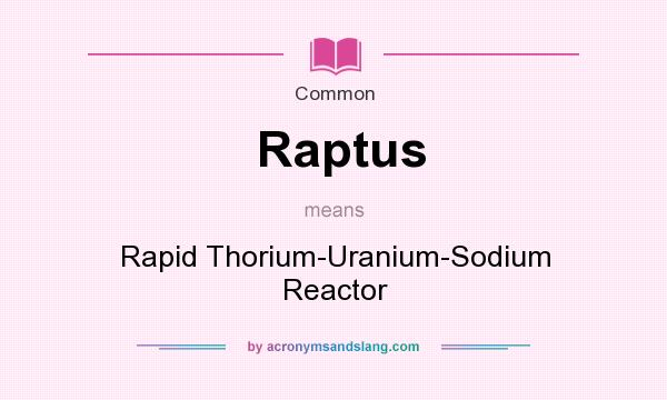 What does Raptus mean? It stands for Rapid Thorium-Uranium-Sodium Reactor