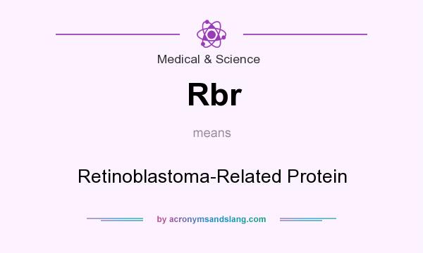 What does Rbr mean? It stands for Retinoblastoma-Related Protein