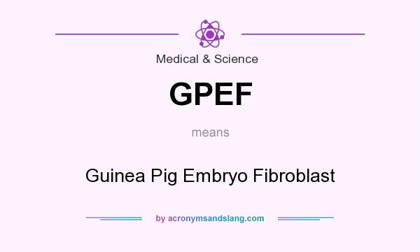 What does GPEF mean? It stands for Guinea Pig Embryo Fibroblast