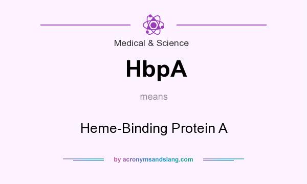 What does HbpA mean? It stands for Heme-Binding Protein A