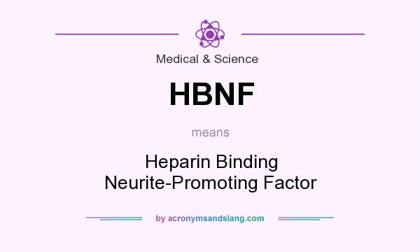 What does HBNF mean? It stands for Heparin Binding Neurite-Promoting Factor