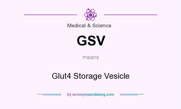 What does GSV mean? It stands for Glut4 Storage Vesicle