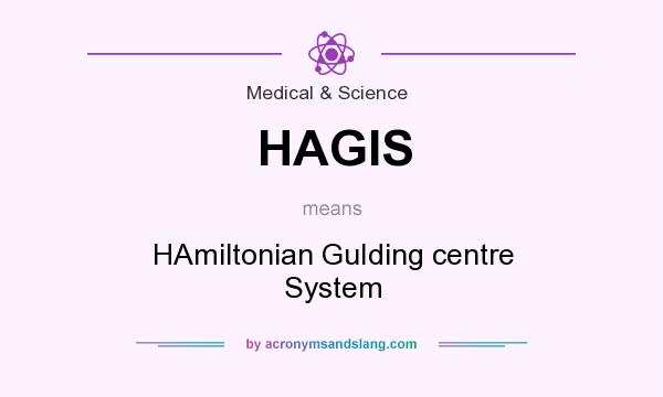 What does HAGIS mean? It stands for HAmiltonian GuIding centre System