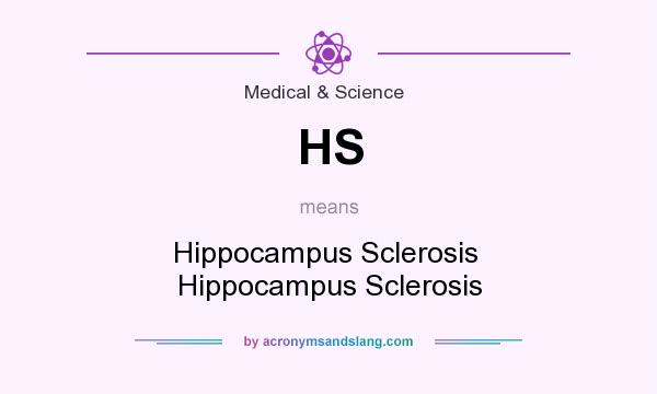 What does HS mean? It stands for Hippocampus Sclerosis  Hippocampus Sclerosis