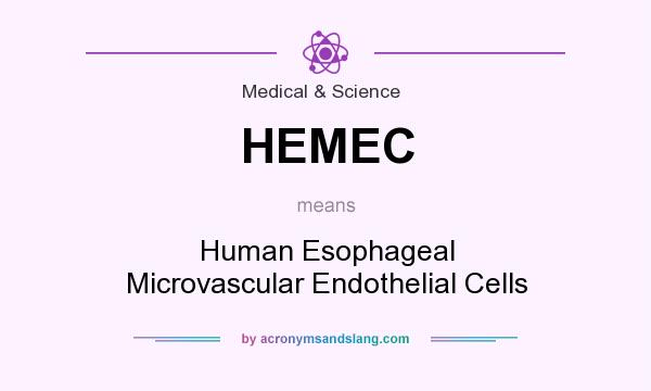 What does HEMEC mean? It stands for Human Esophageal Microvascular Endothelial Cells