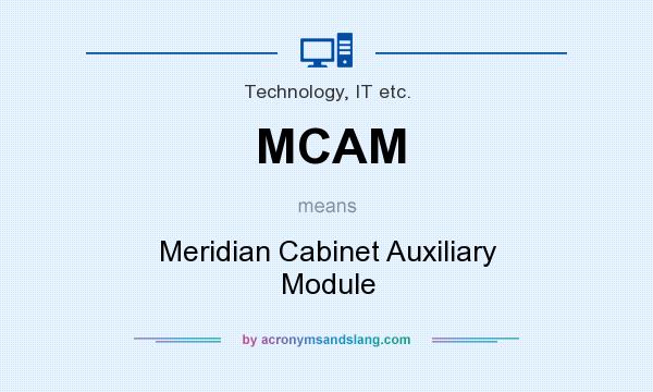 What does MCAM mean? It stands for Meridian Cabinet Auxiliary Module
