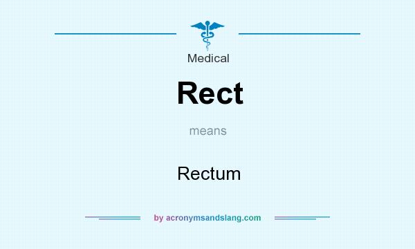 What does Rect mean? It stands for Rectum