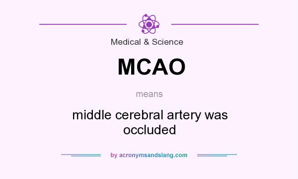 What does MCAO mean? It stands for middle cerebral artery was occluded