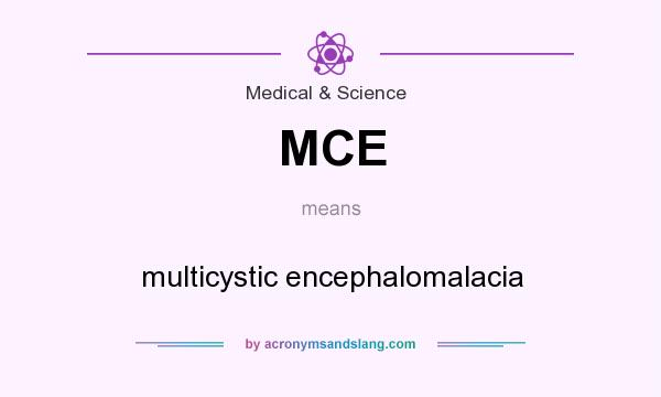 What does MCE mean? It stands for multicystic encephalomalacia