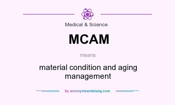 What does MCAM mean? It stands for material condition and aging management