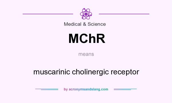 What does MChR mean? It stands for muscarinic cholinergic receptor