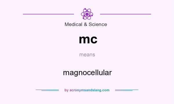 What does mc mean? It stands for magnocellular