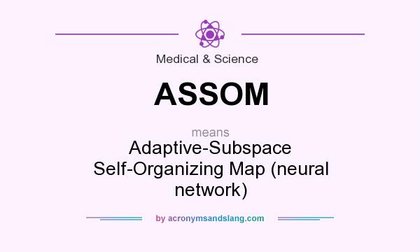 What does ASSOM mean? It stands for Adaptive-Subspace Self-Organizing Map (neural network)