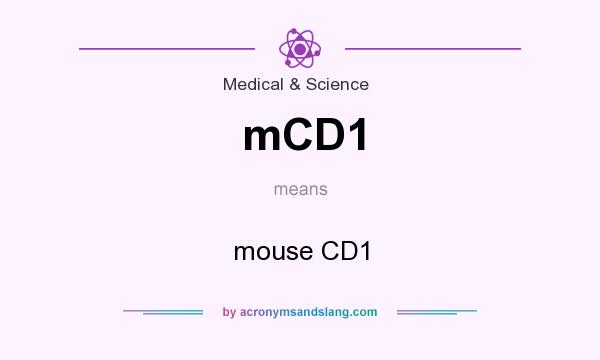 What does mCD1 mean? It stands for mouse CD1