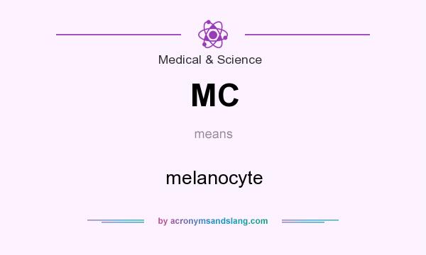What does MC mean? It stands for melanocyte