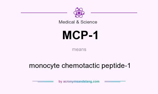 What does MCP-1 mean? It stands for monocyte chemotactic peptide-1