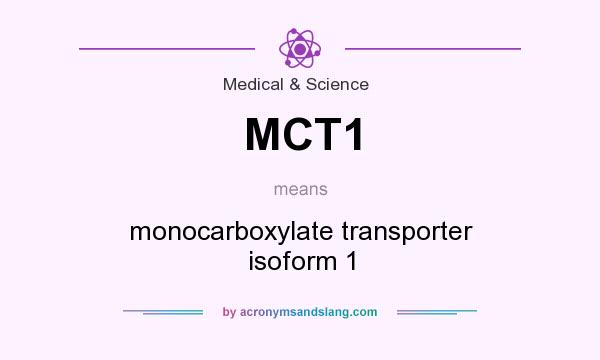 What does MCT1 mean? It stands for monocarboxylate transporter isoform 1