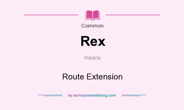 What does Rex mean? It stands for Route Extension