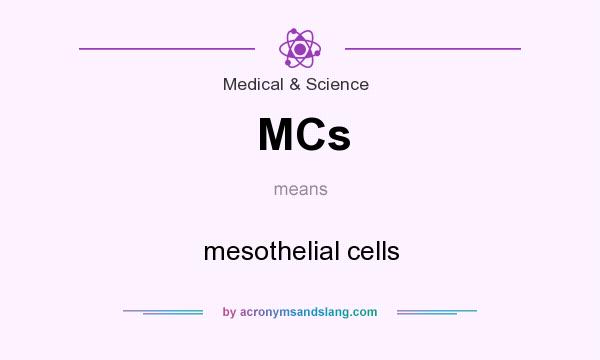 What does MCs mean? It stands for mesothelial cells