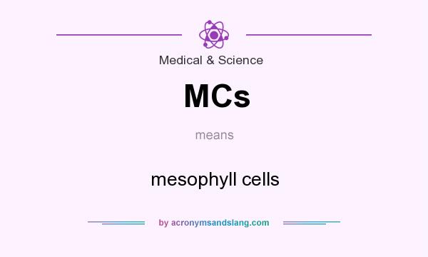 What does MCs mean? It stands for mesophyll cells