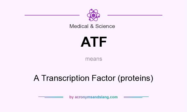 What does ATF mean? It stands for A Transcription Factor (proteins)