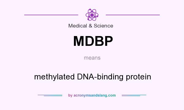 What does MDBP mean? It stands for methylated DNA-binding protein