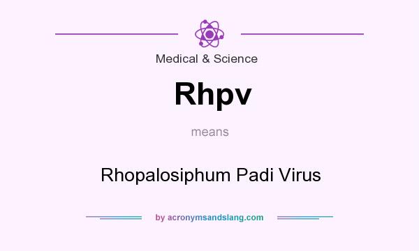What does Rhpv mean? It stands for Rhopalosiphum Padi Virus
