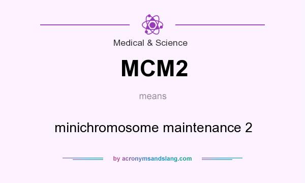 What does MCM2 mean? It stands for minichromosome maintenance 2