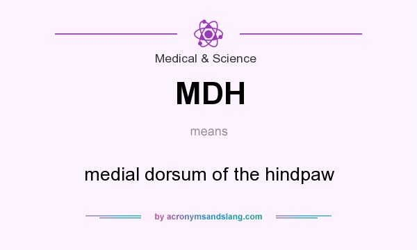 What does MDH mean? It stands for medial dorsum of the hindpaw