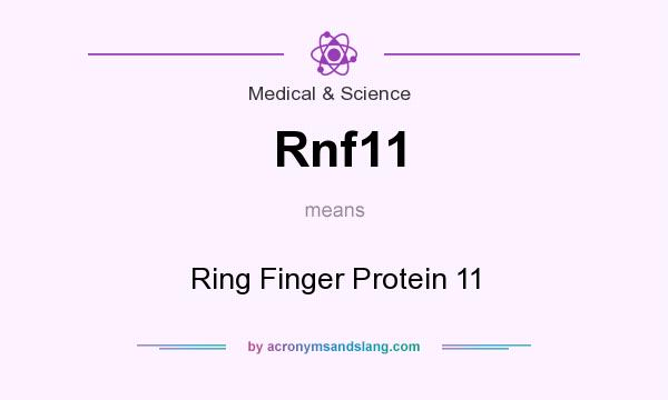What does Rnf11 mean? It stands for Ring Finger Protein 11