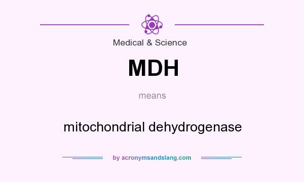 What does MDH mean? It stands for mitochondrial dehydrogenase