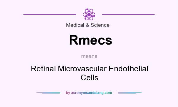 What does Rmecs mean? It stands for Retinal Microvascular Endothelial Cells