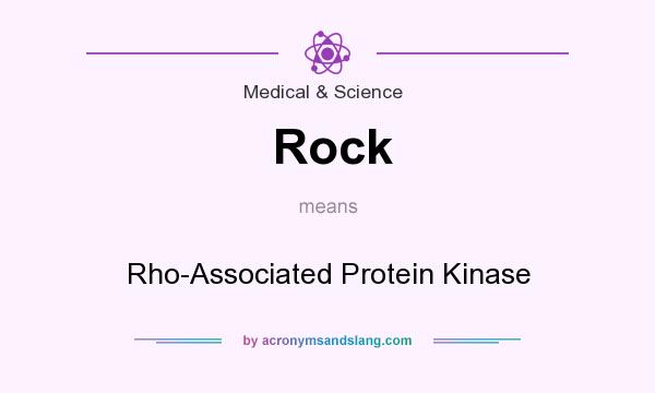 What does Rock mean? It stands for Rho-Associated Protein Kinase