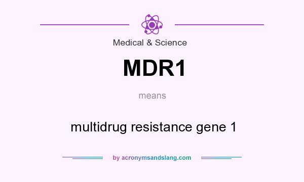 What does MDR1 mean? It stands for multidrug resistance gene 1
