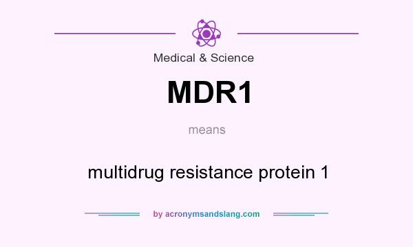 What does MDR1 mean? It stands for multidrug resistance protein 1