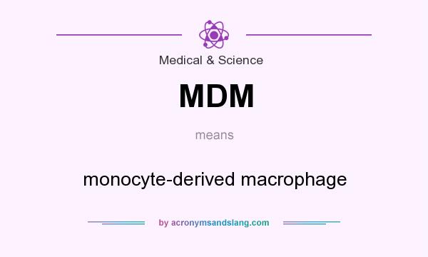 What does MDM mean? It stands for monocyte-derived macrophage