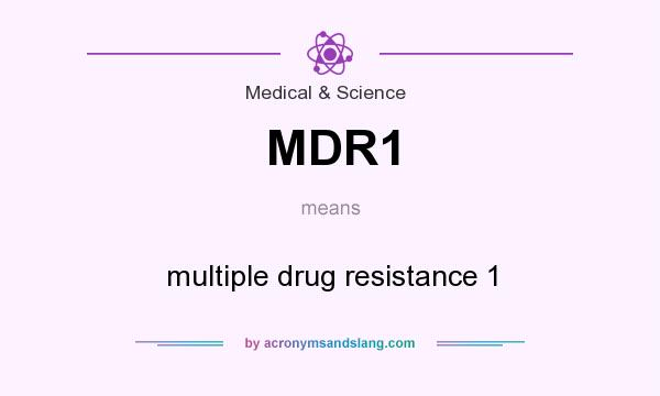 What does MDR1 mean? It stands for multiple drug resistance 1