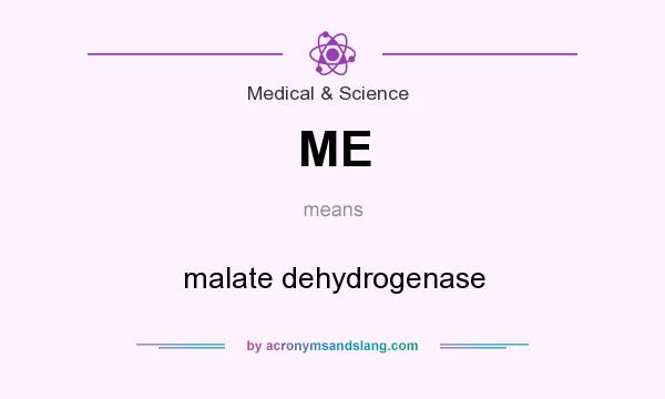 What does ME mean? It stands for malate dehydrogenase