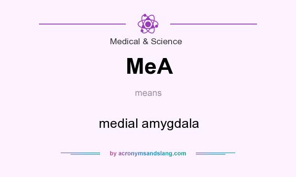 What does MeA mean? It stands for medial amygdala