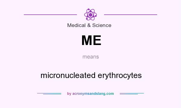 What does ME mean? It stands for micronucleated erythrocytes