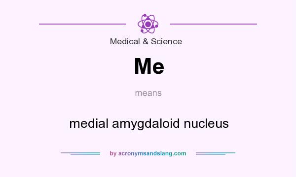 What does Me mean? It stands for medial amygdaloid nucleus