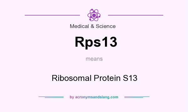 What does Rps13 mean? It stands for Ribosomal Protein S13
