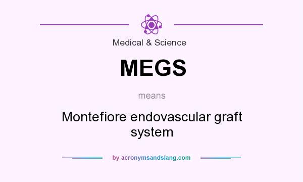 What does MEGS mean? It stands for Montefiore endovascular graft system