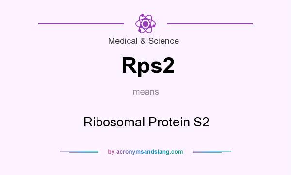 What does Rps2 mean? It stands for Ribosomal Protein S2