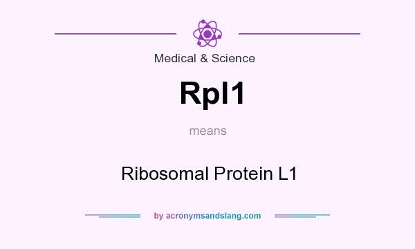 What does Rpl1 mean? It stands for Ribosomal Protein L1