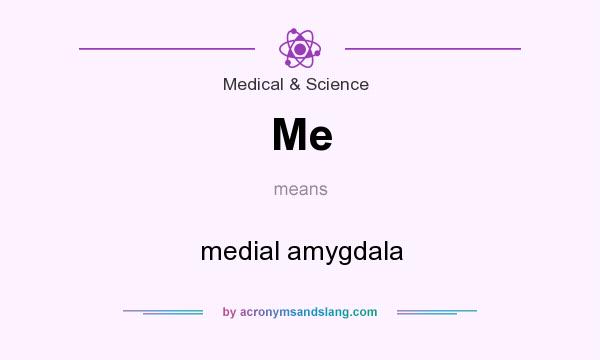 What does Me mean? It stands for medial amygdala