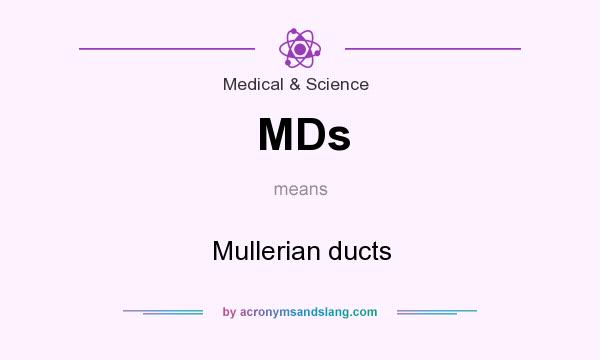 What does MDs mean? It stands for Mullerian ducts