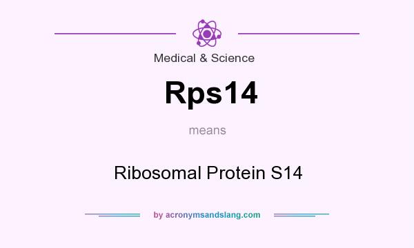 What does Rps14 mean? It stands for Ribosomal Protein S14