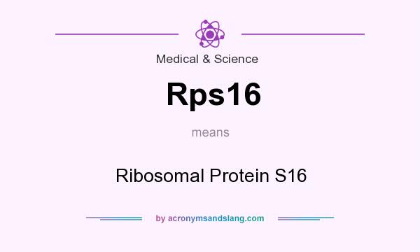 What does Rps16 mean? It stands for Ribosomal Protein S16